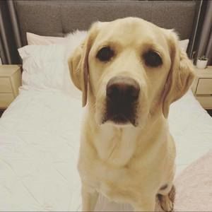 Meet your Posher, Ella